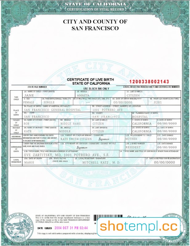 California Birth Certificates Template in PDF and MS Word Format V1